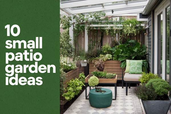 10 Small Patio Garden Ideas That Save Space