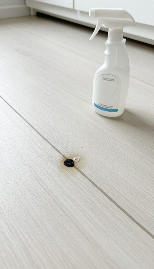 Close-up of kitchen floor grout with organic stain and mold being treated with hydrogen peroxide